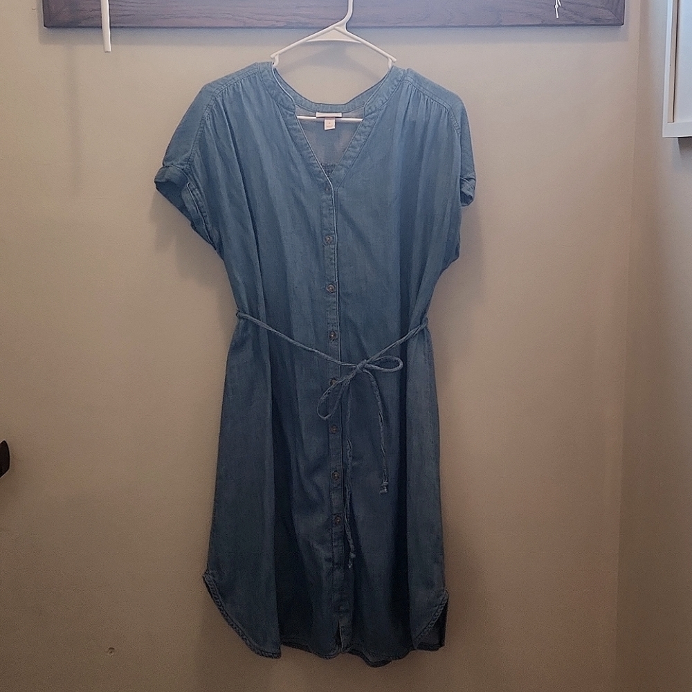 Cute chambray maternity dress